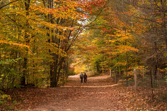 Terveellinen hyötyliikunta